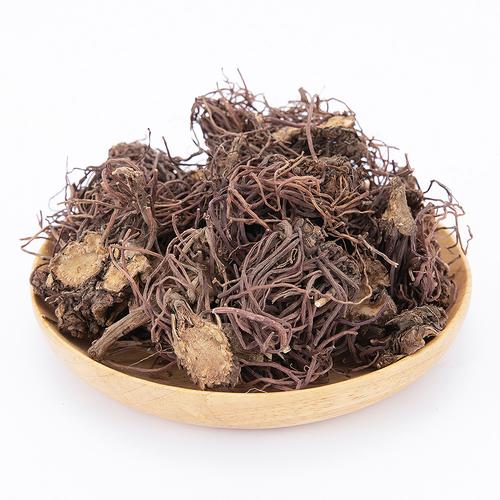 紫菀 药食同源的中药材宝藏