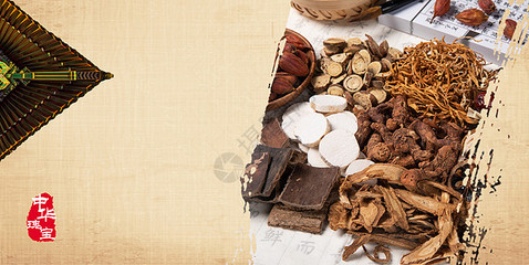 扼杀在摇篮中的嫩芽 从传统到现代视野下的珍稀中药材保护困局