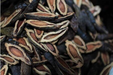 槟榔在中药与中药成药中的应用与影响