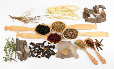 中国传统中草药成分特写与中药成药探析